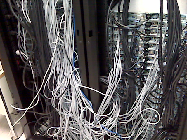 Medusa from the back - what a mess!