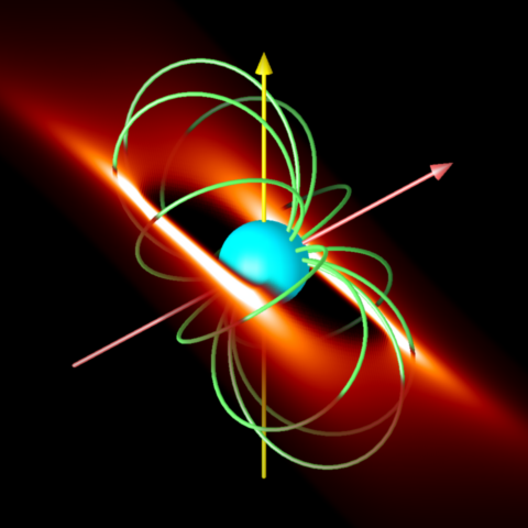 A rigidly rotating magnetosphere around a magnetic massive star.
